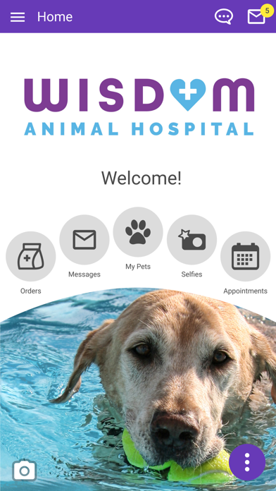 Wisdom Animal Hospital Screenshot