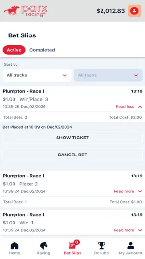 Parx Racing screenshot 4
