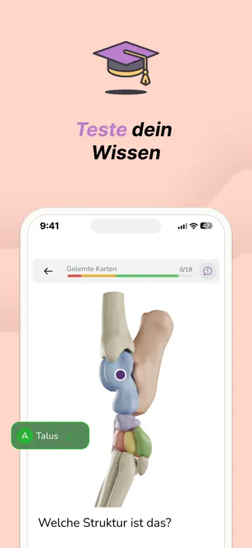 Vetflow - Anatomie lernen screenshot 3 of 6