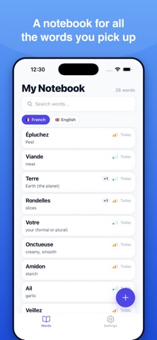 Flash Dictionary screenshot