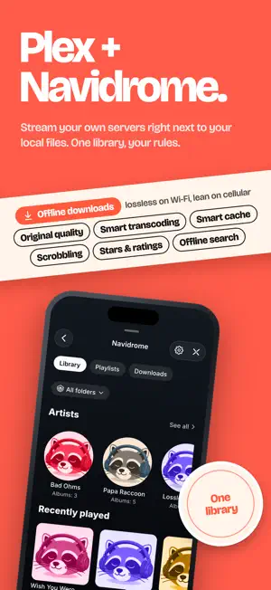 BitaBit Hi-Fi Audio Player screenshot 2