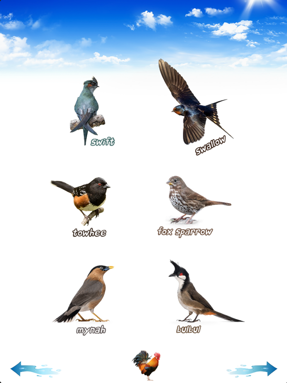 Amazing Bird Sounds iPad screenshot 6 - Entertainment app