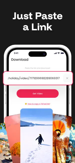 SSSTik Lite: TT Video Saver screenshot 1