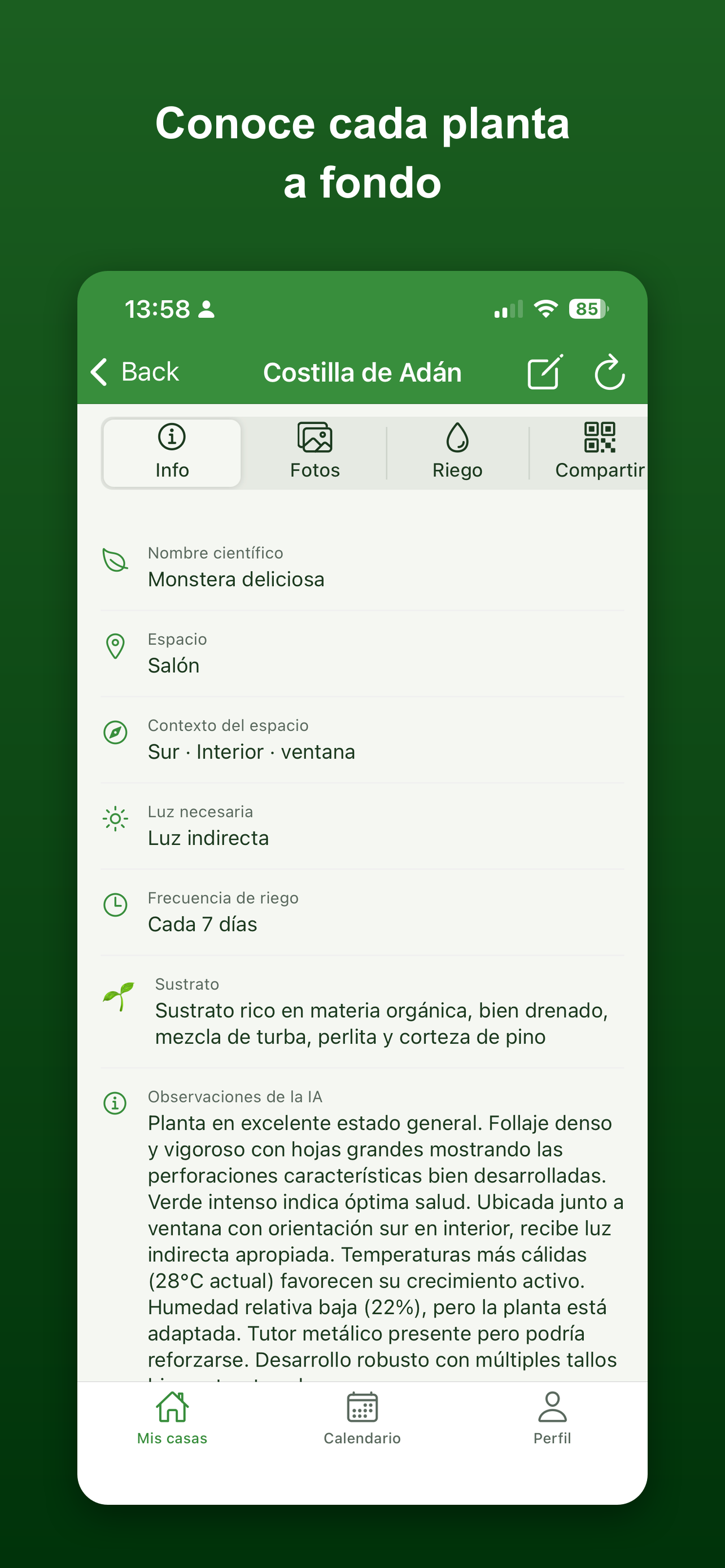 FrondAI: Cuidar Plantas IA screenshot 6