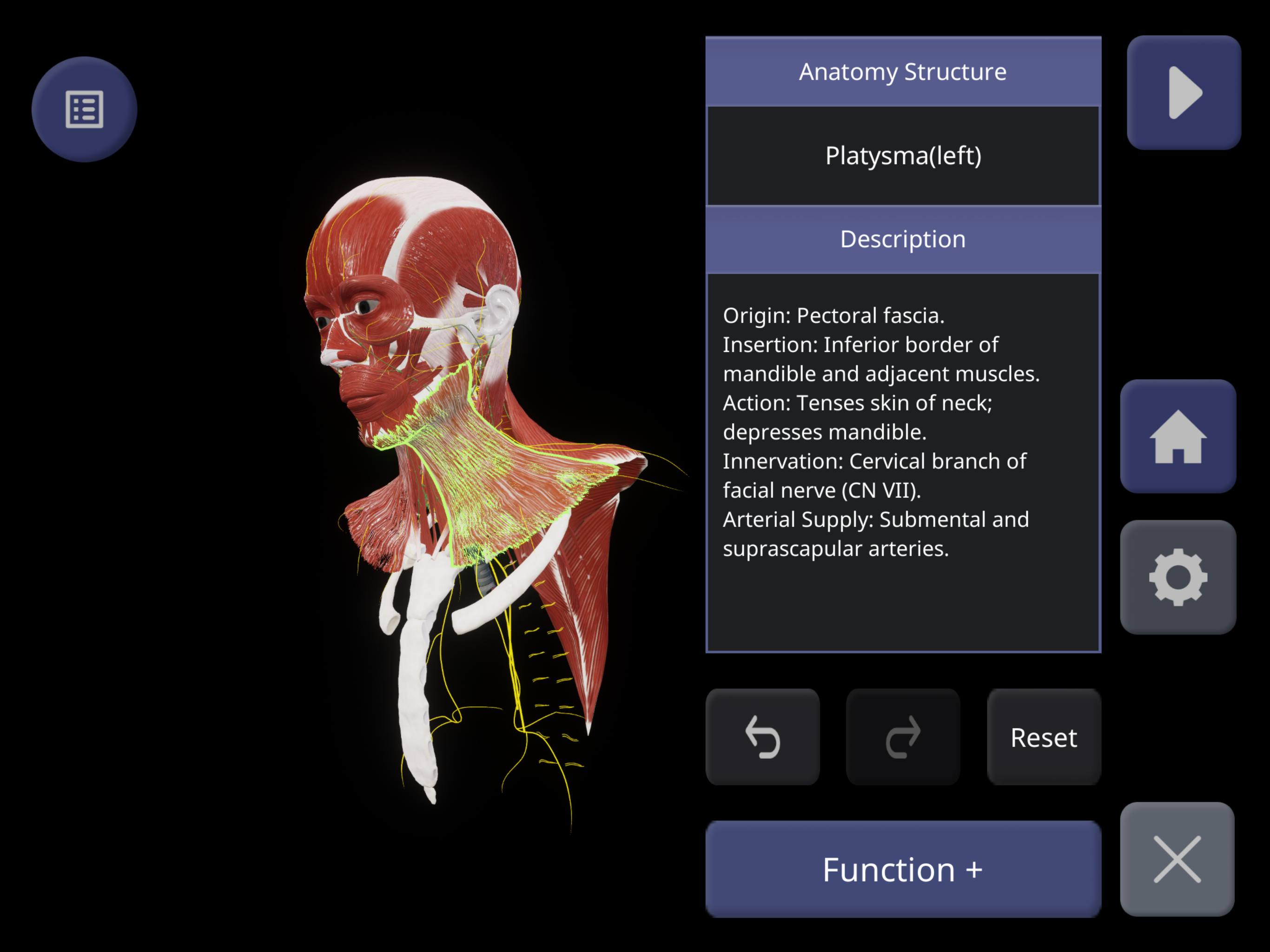 MEDIP Box Anatomy - 3D Cadaver