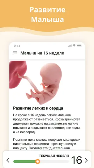 Скриншот Беременность по неделям на iPhone 2