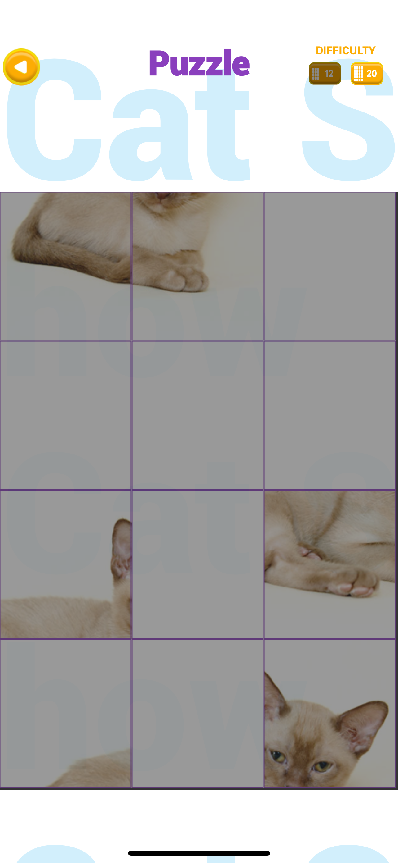 Cat Show 360