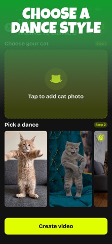 Dancing Cat: Katzo iPhone screenshot