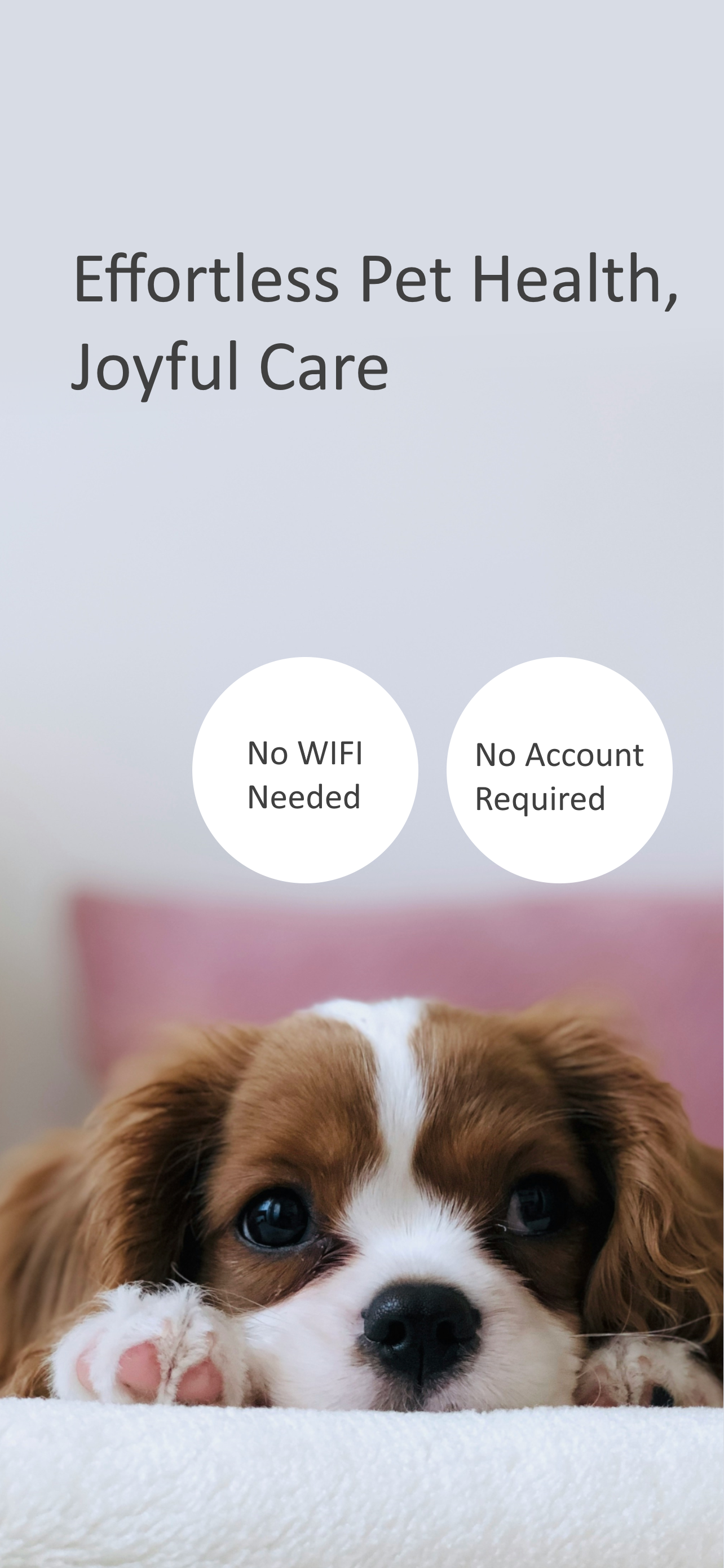 Pet calendar - pet care log