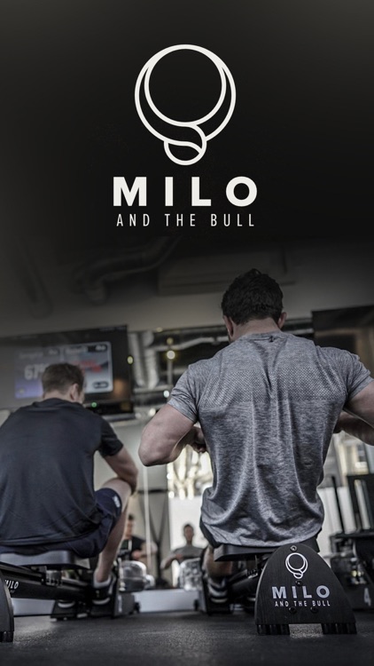 Milo and the Bull