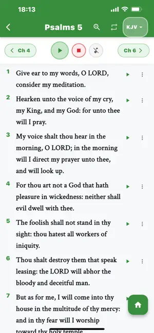 WordFirst Bible App screenshot 3
