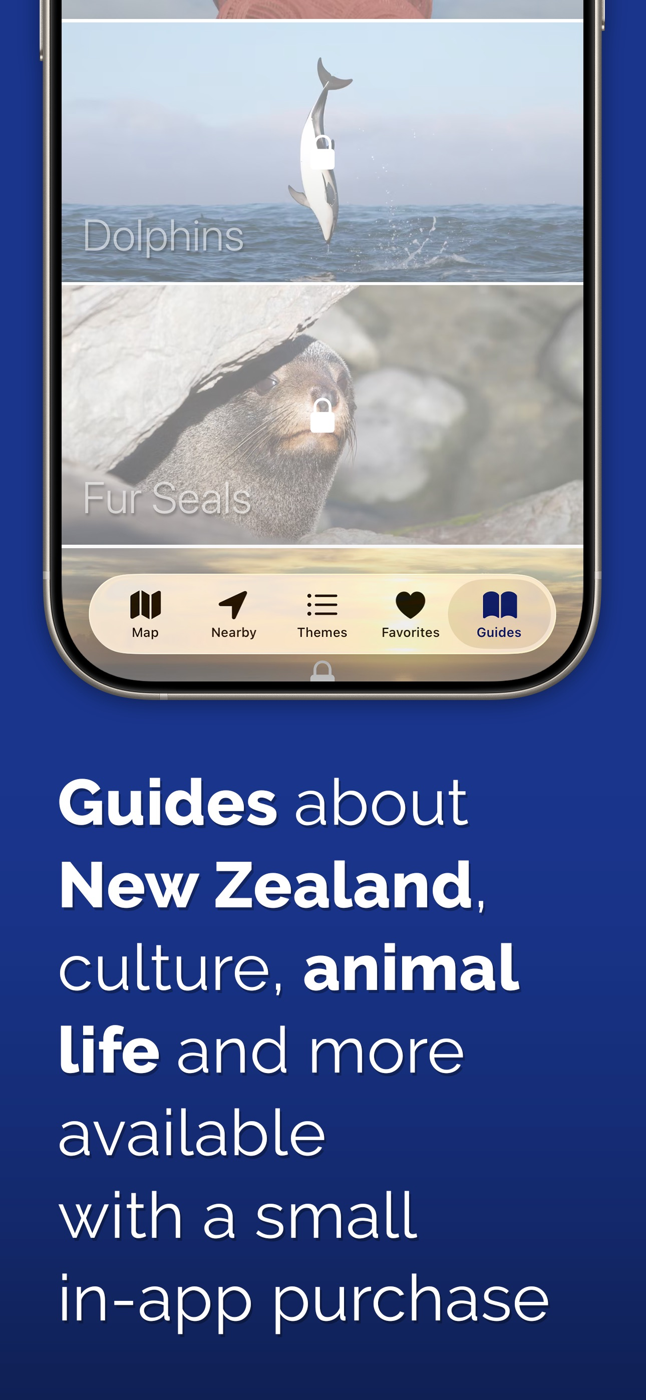 New Zealand Visually, Guide