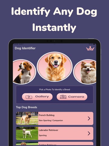 Dog Breed ID: Puppy Scanner iPad screenshot