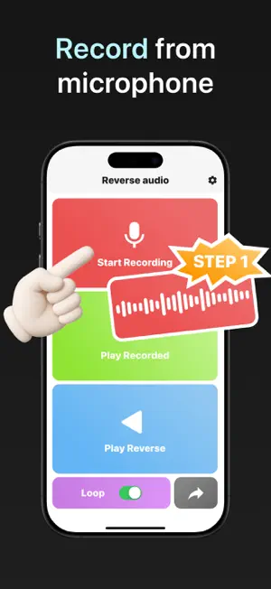 Reverse Audio Singing & Play screenshot 2