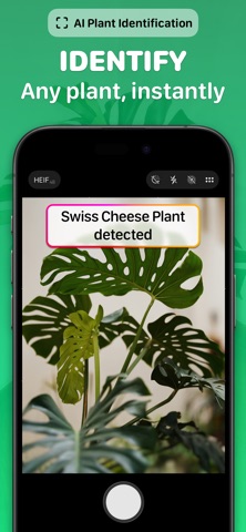 Plant Doctor & Scanner: Fernly iPhone screenshot