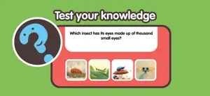 Insects for Toddlers 2+ screenshot 4