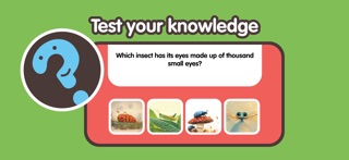 Insects for Toddlers 2+ Screenshot 4 of 8