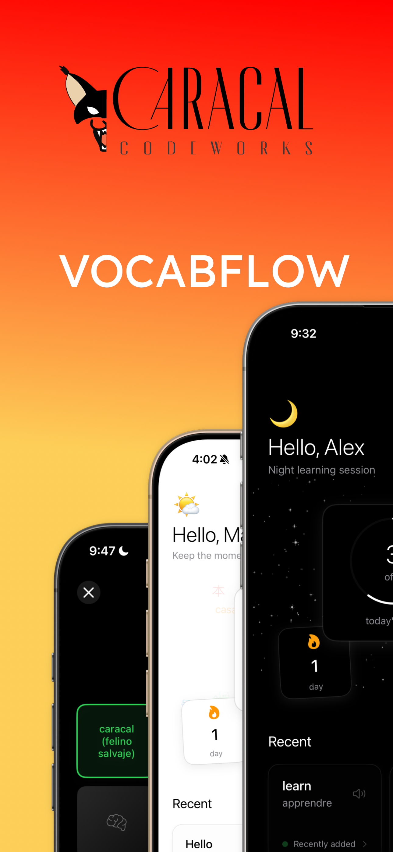 VocabFlow screenshot 9