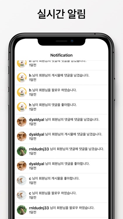 행복하냥사이좋개 - 반려동물 자랑/소통 커뮤니티 screenshot-5