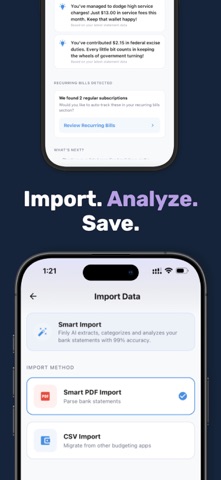 Finly: AI Budget & Expense Log screenshot