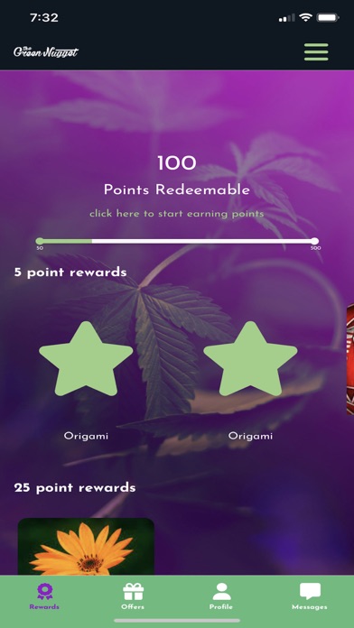 The Green Nugget Screenshot