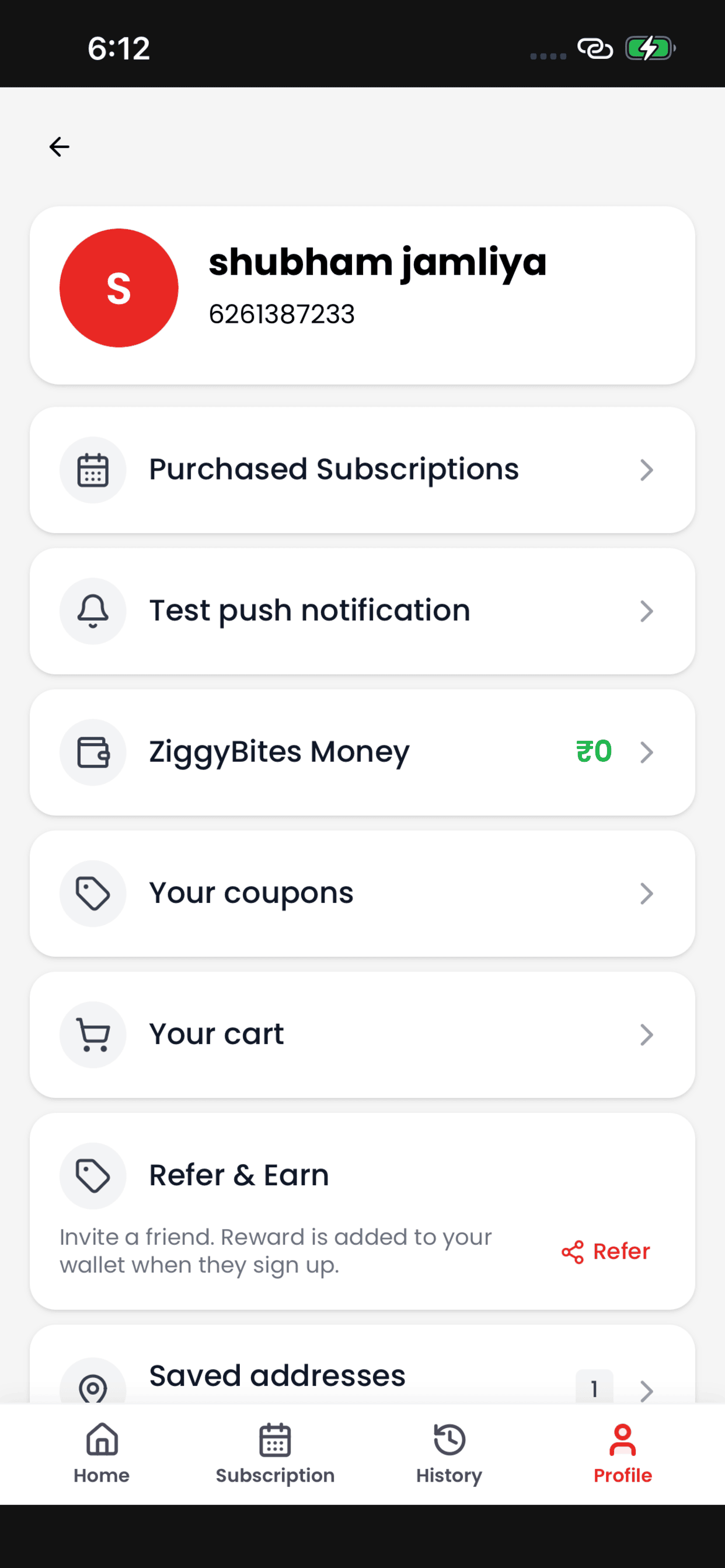ZiggyBites