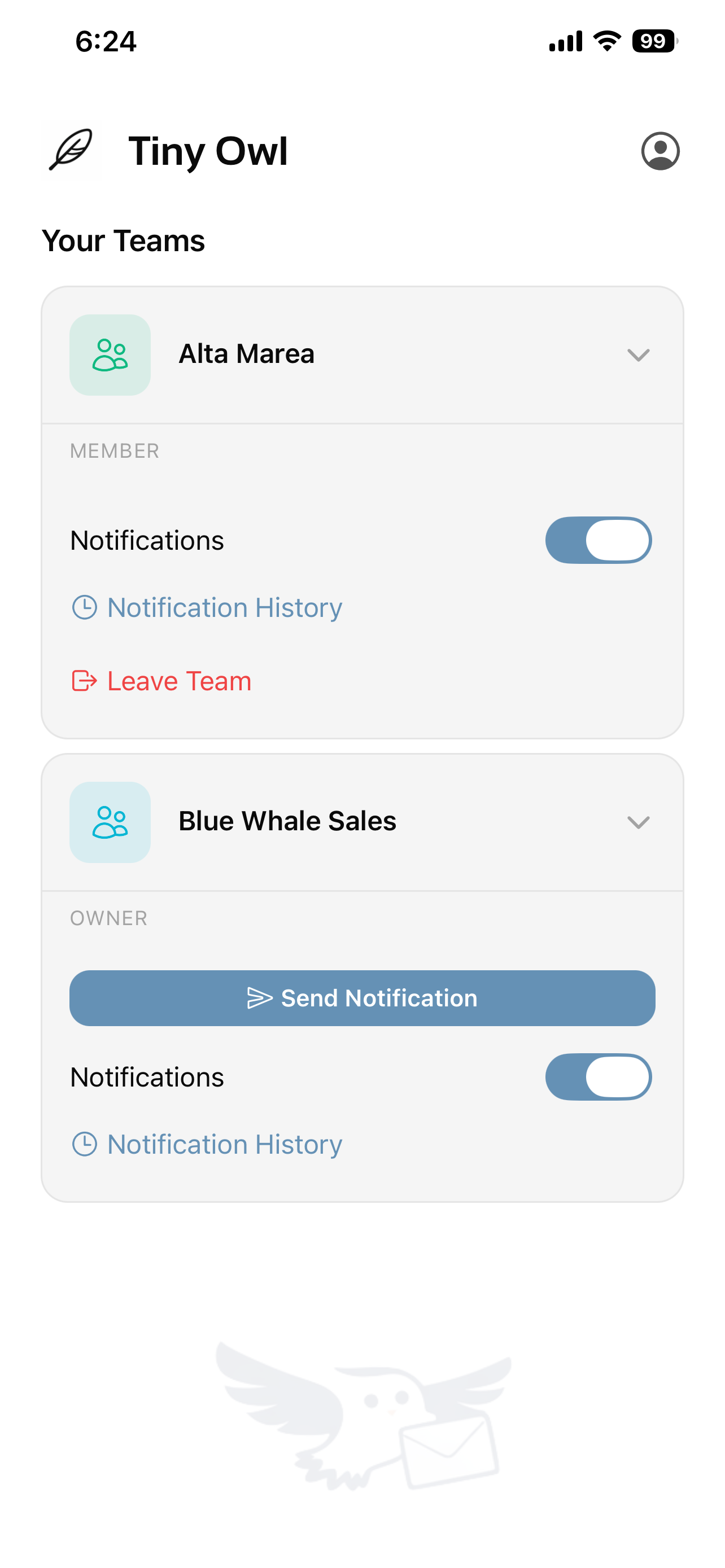 Tiny Owl - Team Notifications
