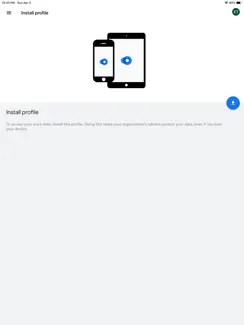 Google Device Policy iPad image 4