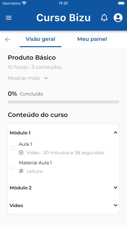 Curso Bizu