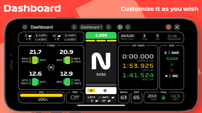 F1 Telemetry Screenshot