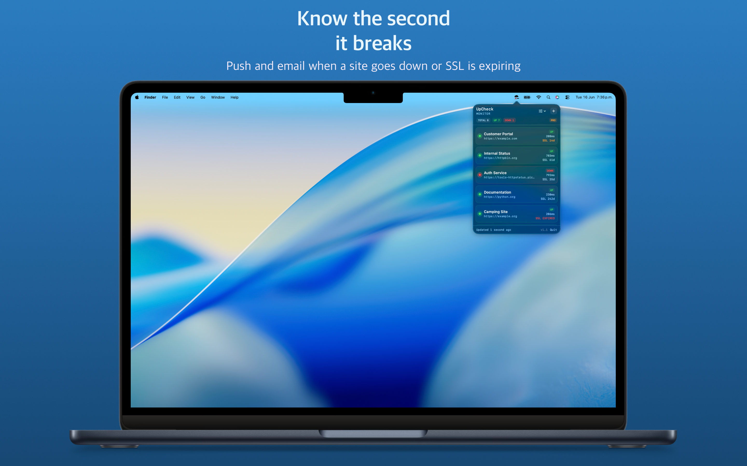 UpCheck Monitor screenshot 13
