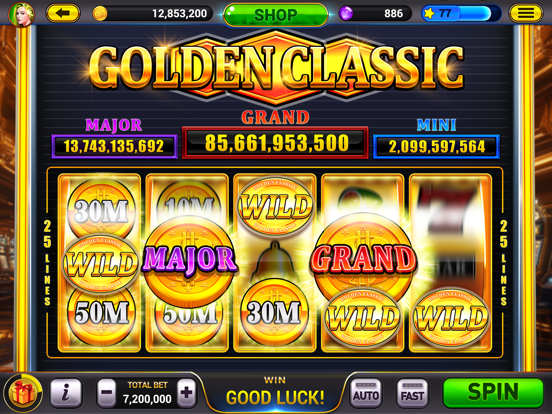 Screenshot #5 pour Golden City Casino