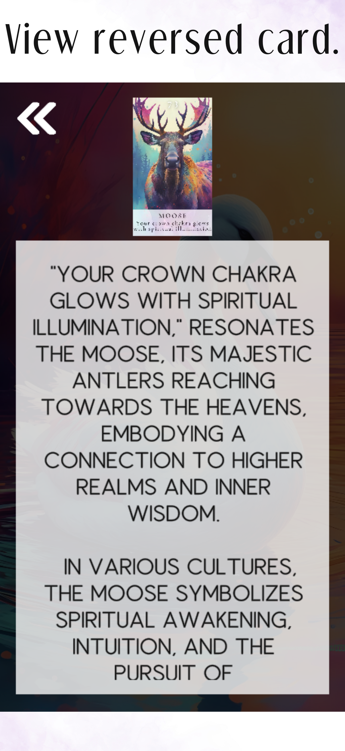 Animal Oracle Cards