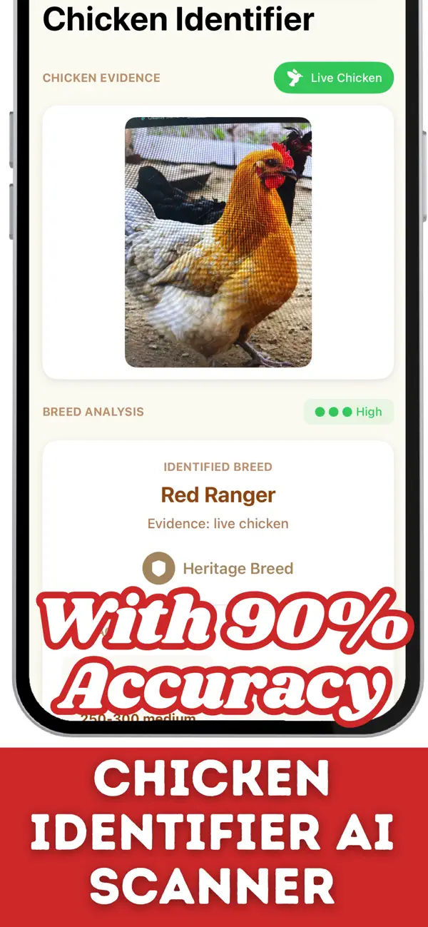 #3. chicken identifier (iOS) Ved: Nikhil Kumar