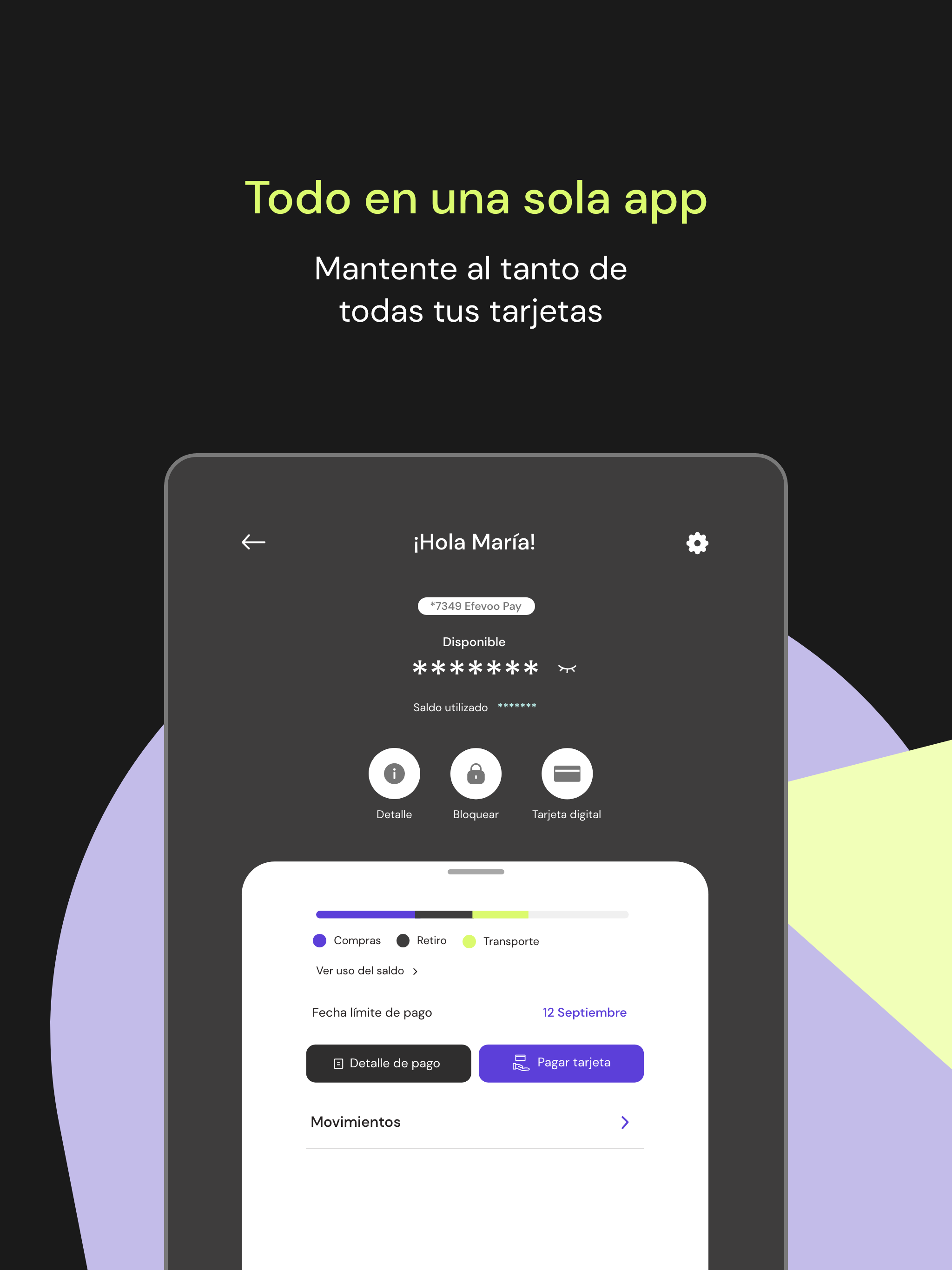 Efevoo Pay
