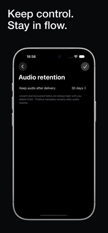 Voice Notes to Webhook - Whim screenshot 4