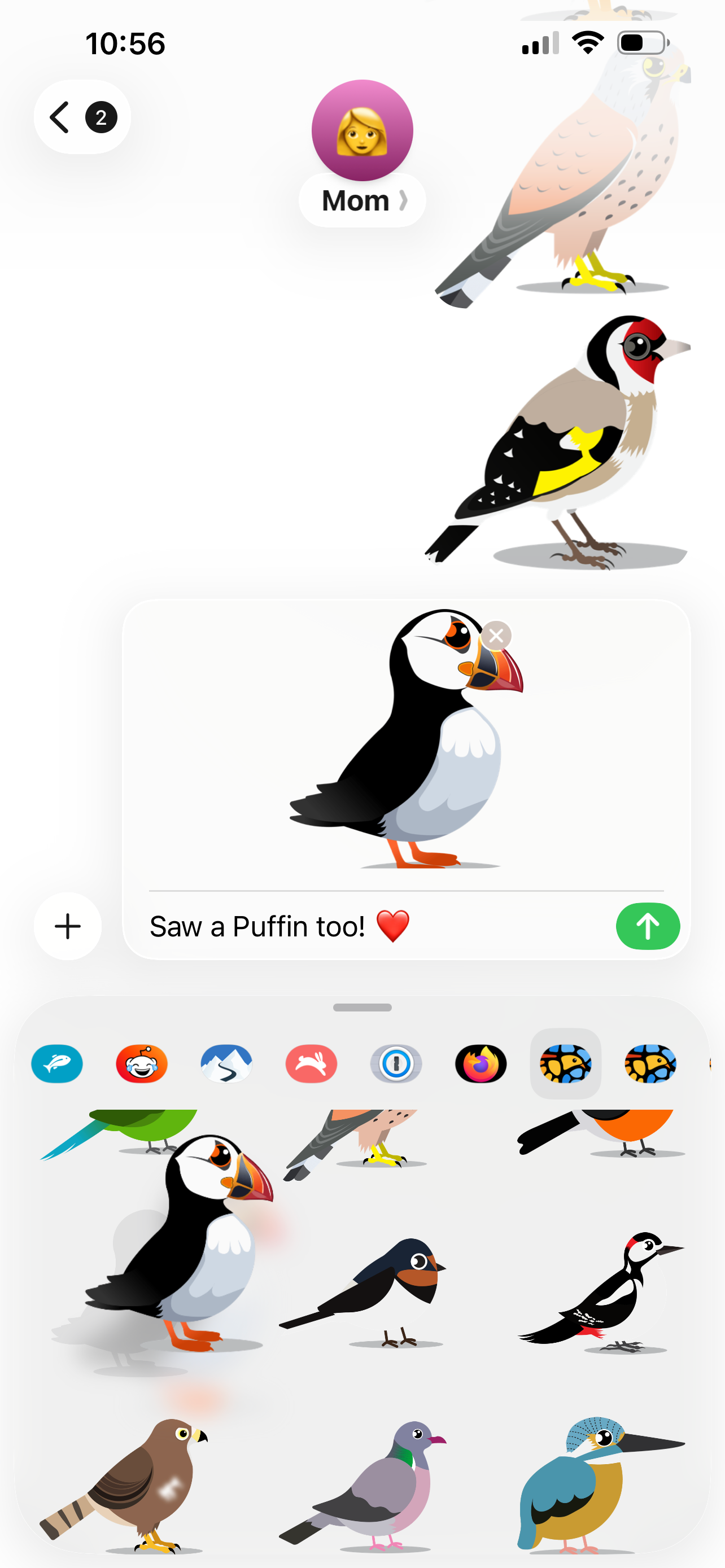 Identify Birds – Smart Bird ID