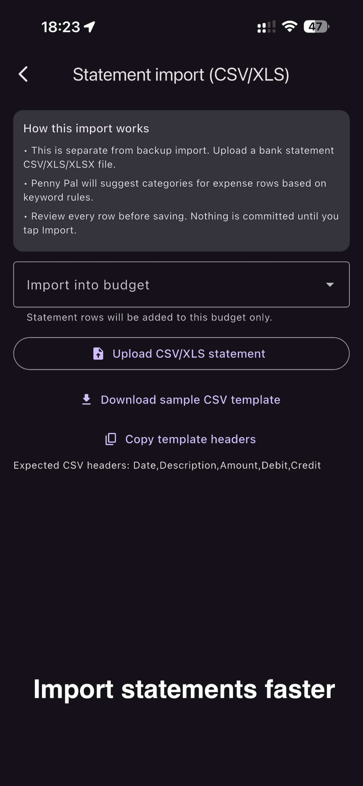 Penny Pal Budgets