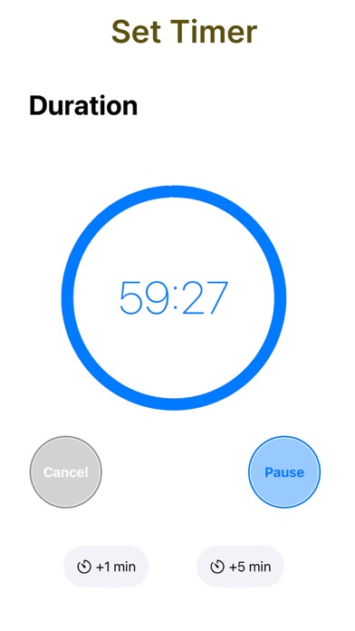 Presently: Present Media,Timer Screenshot