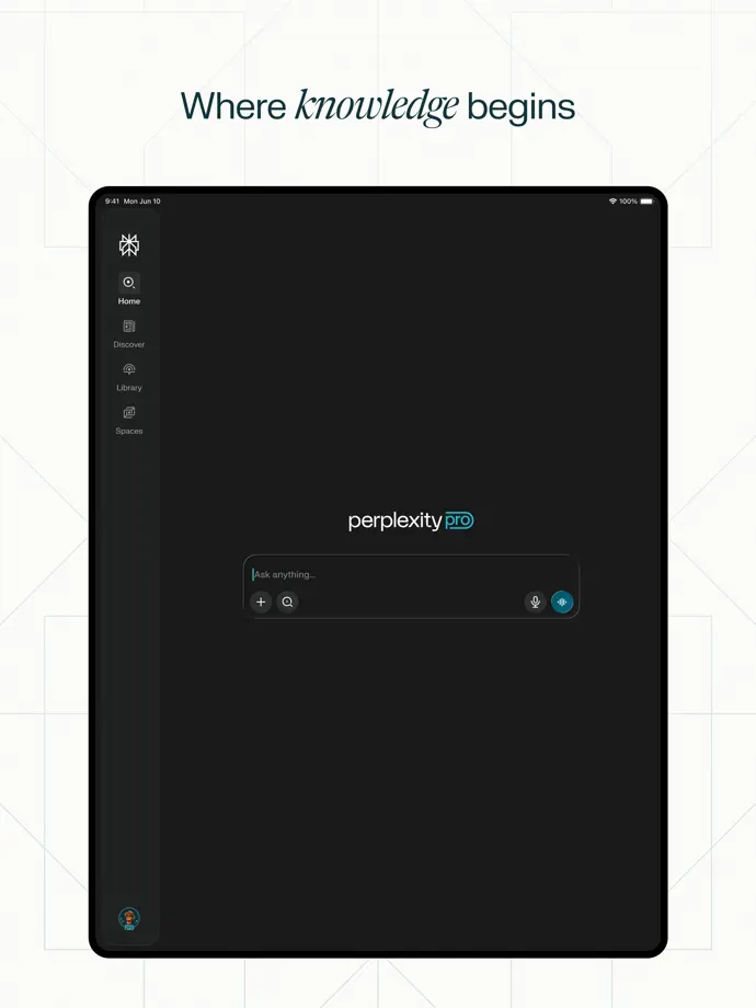Perplexity iPad screenshot 10
