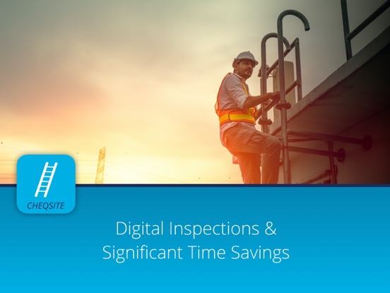 Ladder Safety Inspection