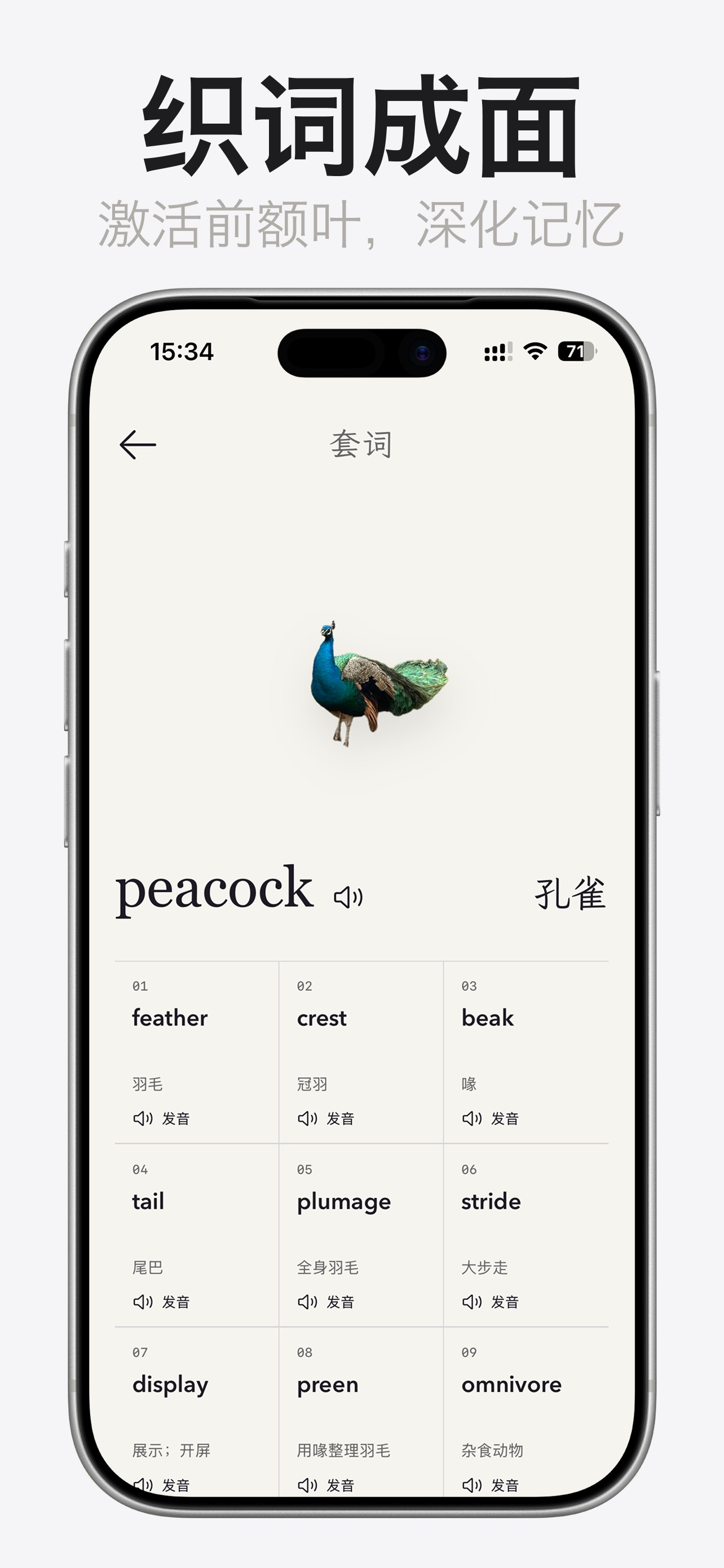 Screenshot 4 of 套词