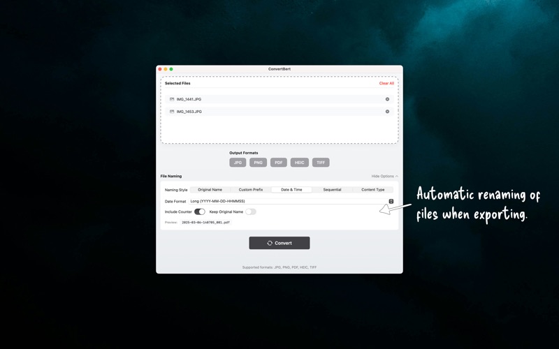 ConvertBert screenshot