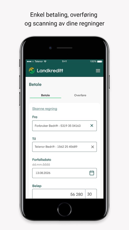 Bedrift Landkreditt Bank screenshot-4