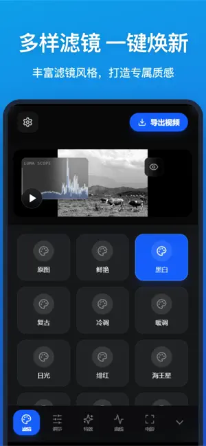 视频滤镜-视频调色滤镜大师 screenshot 1