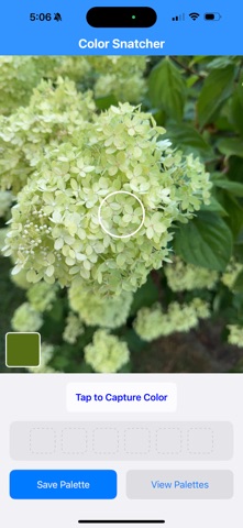 Color Snatcher iPhone screenshot