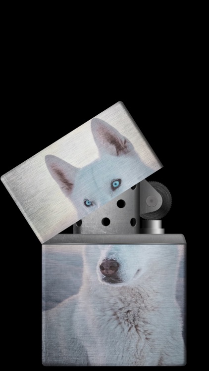 Lighter Simulator Concert Mode screenshot-4