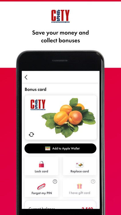 Yerevan City screenshot-4