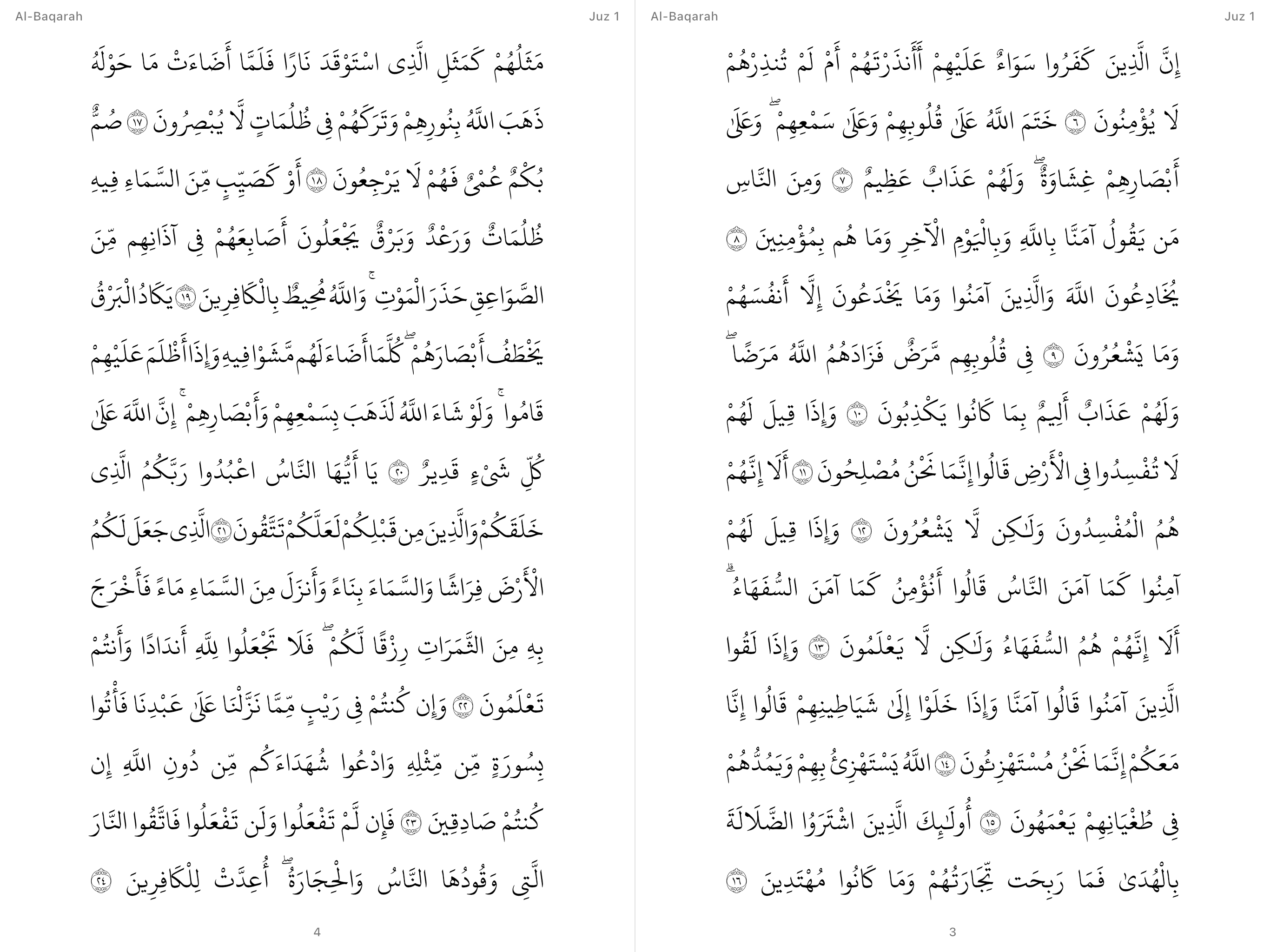 Quran and Tafsir screenshot 14