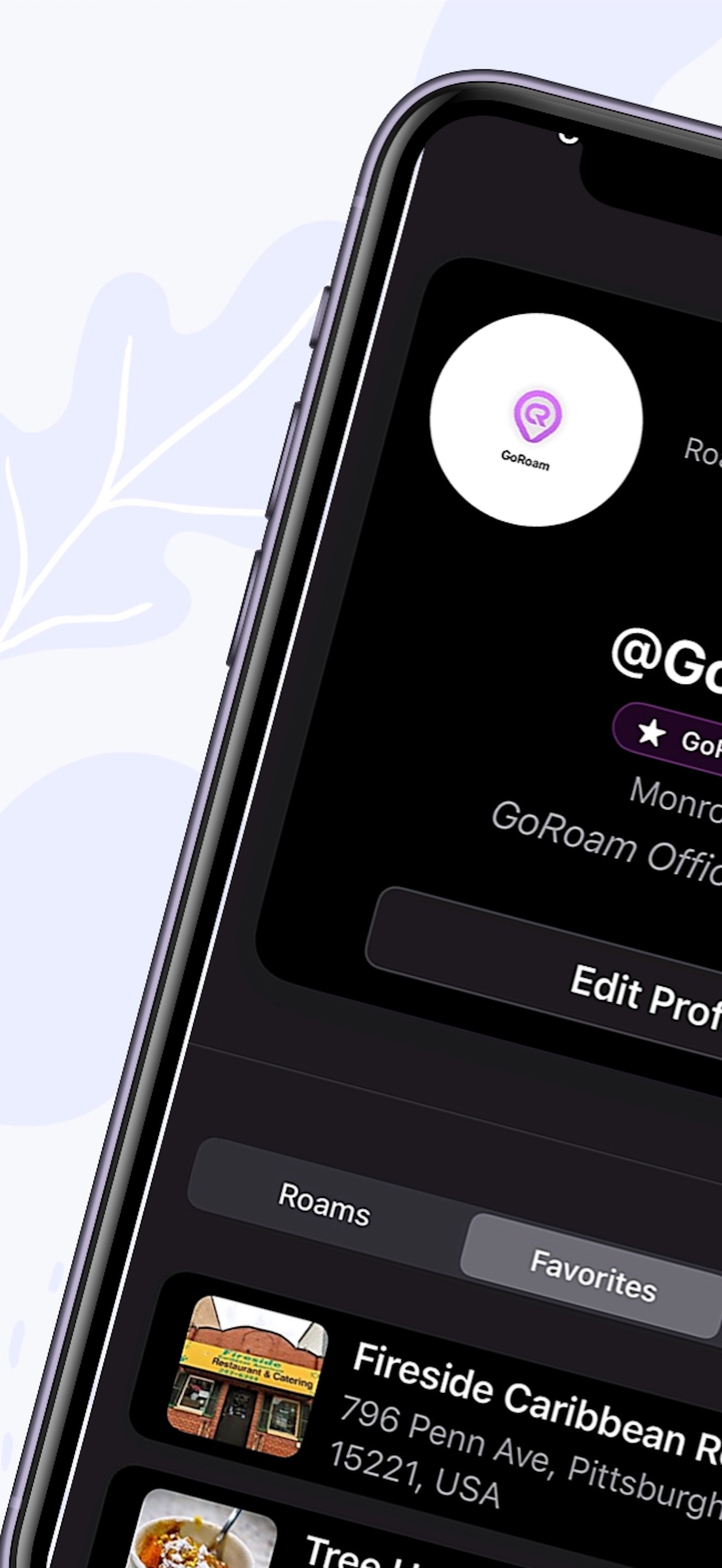 GoRoam AI